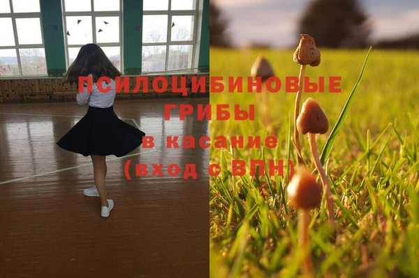 меф Костерёво